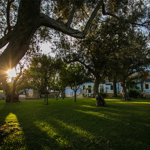 Agriturismo Tenuta Arangio