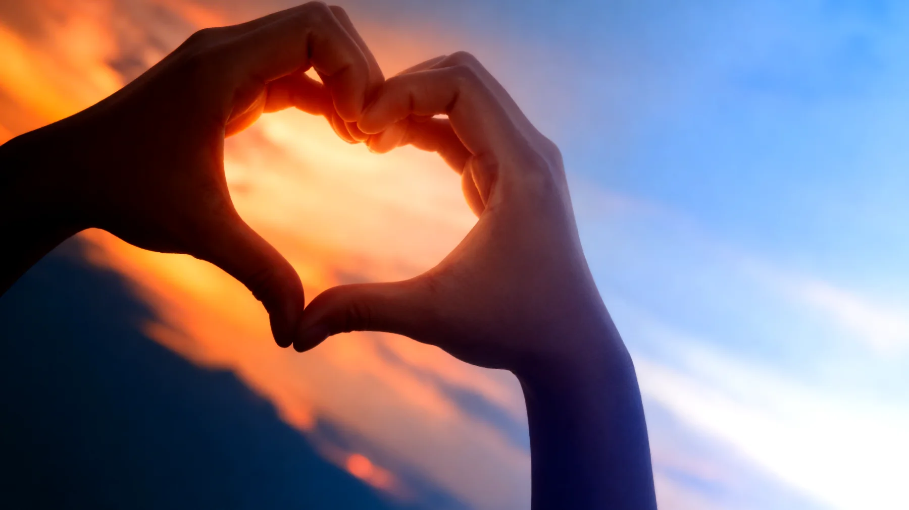 Beautiful 2026-02-19T14:34:51.691Z"